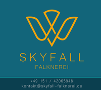 Skyfall-Falknerei